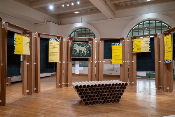 Jaguar Lens exhibition on display in the Mebane Gallery