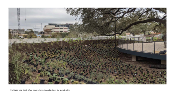 Waterloo Park plantings