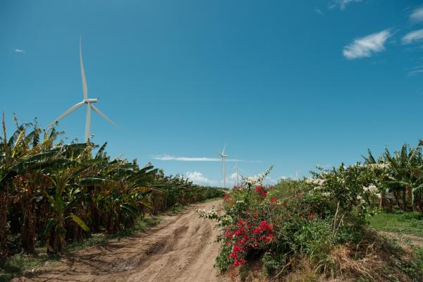 Scenic view of Puerto Rico, with grasses and a wind turbine