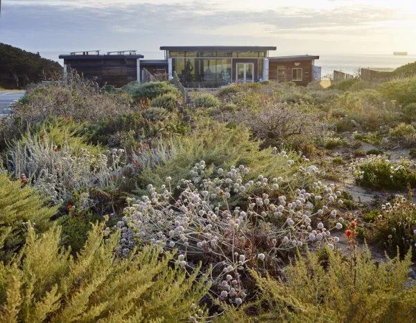 Lands End Lookout, San Francisco, CA