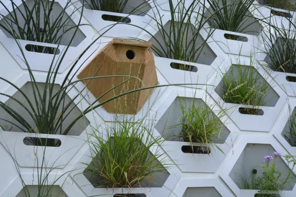 detial of the Living Wall