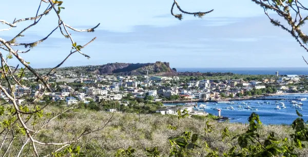 Wide angle view of a town on the coast of the Galapagos, seen from afar looking through trees over a grassy area. 