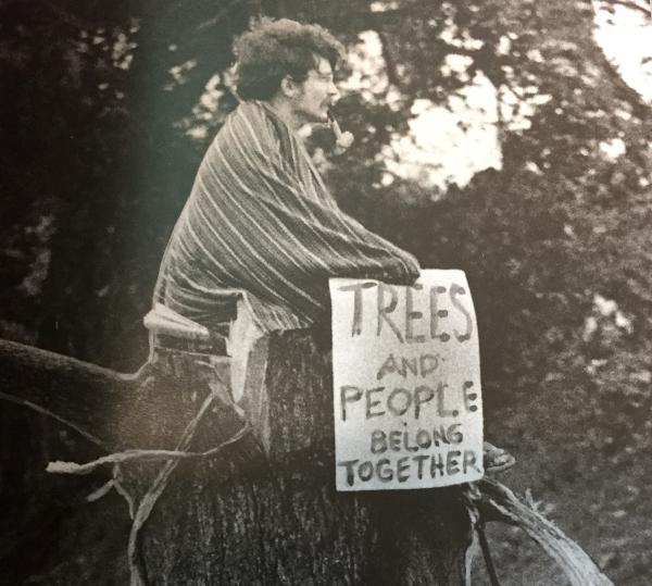 Student occupies the remnants of a tree on Waller Creek, 1969