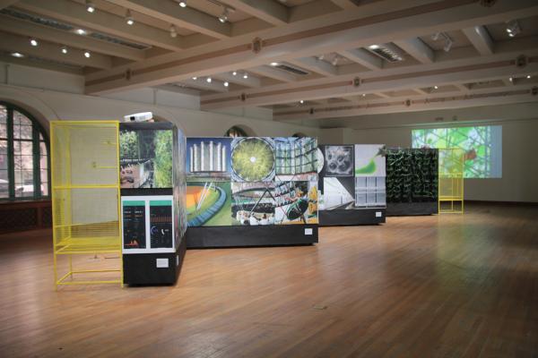 Overall view of the OTHER NATURE exhibit on display in the Mebane Gallery, featuring an accordion of poster boards, bookended by yellow "cages" with air plants housed inside. On the far back wall is a video of butterflies
