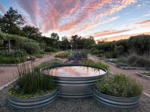 Theme Gardens at Wildflower Center