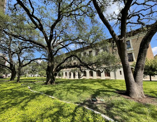 Shadows from large oak trees are seen on the ground in front of Sutton Hall