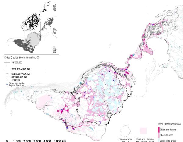 A stronghold against urbanization. Correlation of the Jaguar Corridor with the dataset of the “Three global conditions for biodiversity conservation and sustainable use” (2020). Credit: Juana Salcedo 