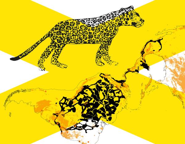 Graphic with a large yellow x in the middle, with a jaguar and a map on top of it