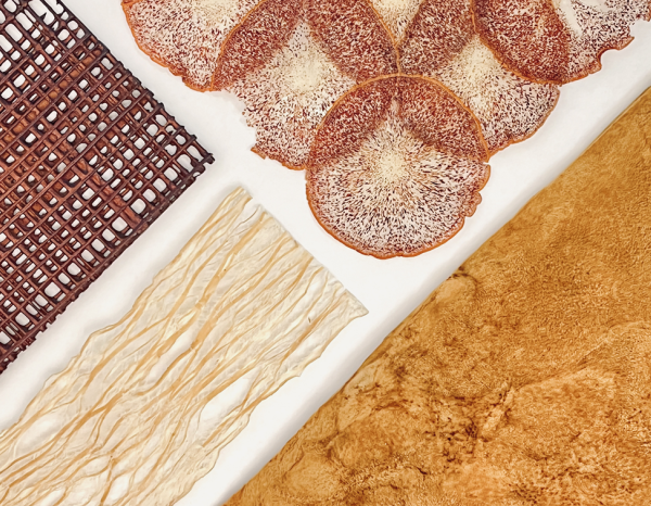 Several orange and brown materials displayed against a white background