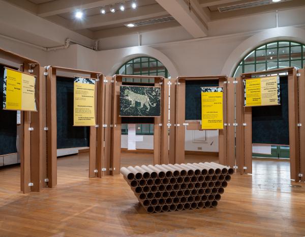Jaguar Lens exhibition on display in the Mebane Gallery