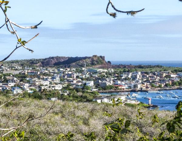Wide angle view of a town on the coast of the Galapagos, seen from afar looking through trees over a grassy area. 