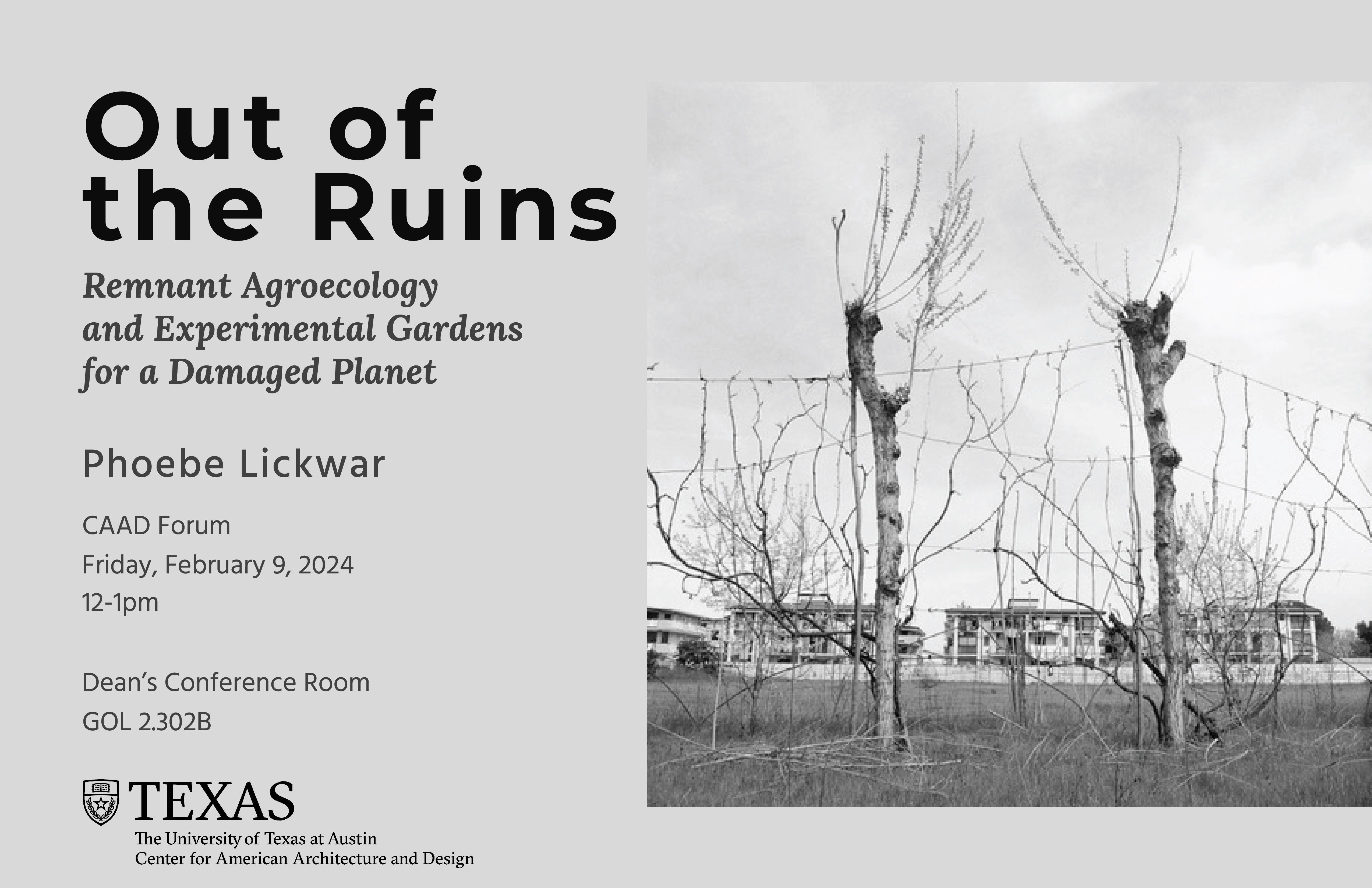 Grayscale graphic for Phoebe Lickwar's CAAD Forum that reads "Out of the Ruins: Remnant Agroecology and Experimental Gardens for a Damaged Planet."