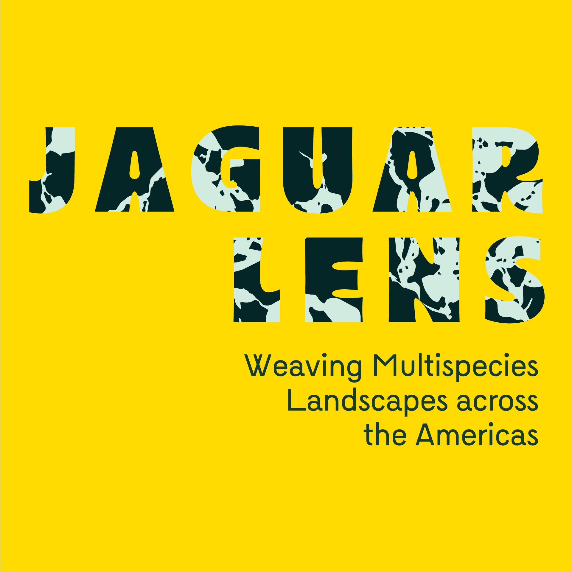 Jaguar Lens Exhibition Poster in yellow