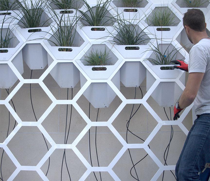 Living Wall