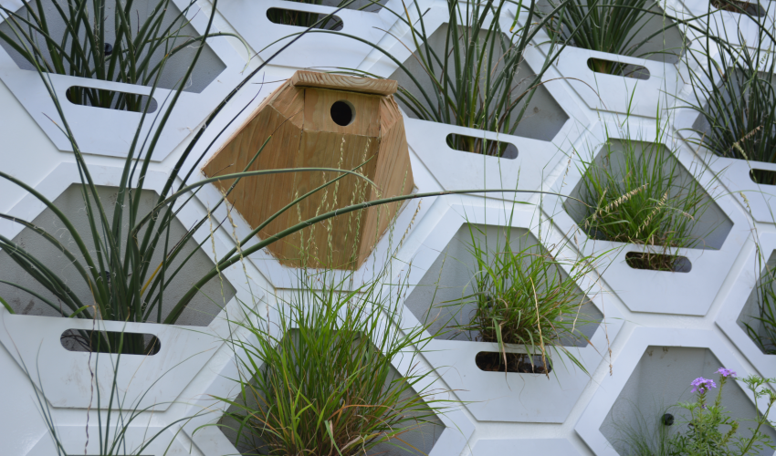 Living Wall
