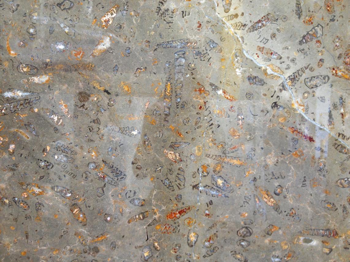Architectural Tile and Stone