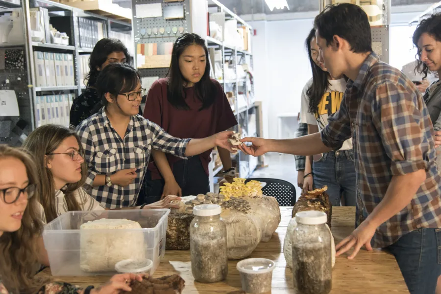 Temporary material workshop