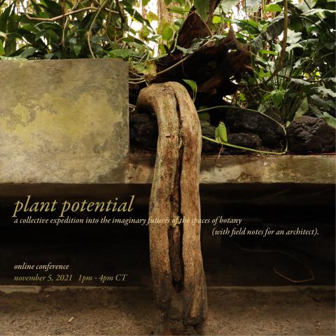 Plant Potential_Artboard 1