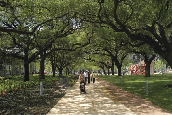 A canopy of trees shade a walkway in Austin, Texas