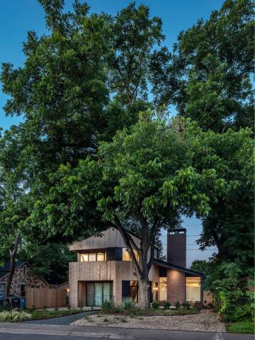 Matt Fajkus Architecture residential home with a large tree in front