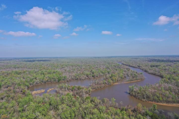 aerial view of big thicket 